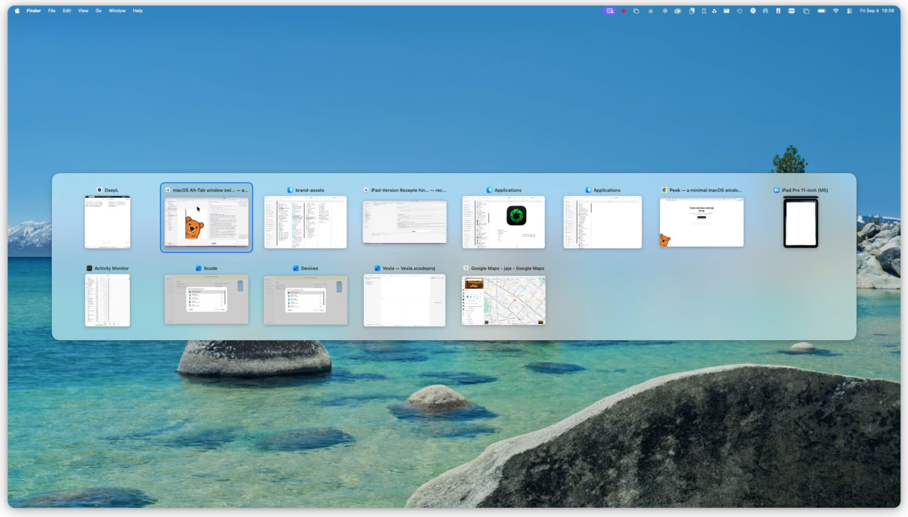 Peek showing every open window in a grid, one of them selected
